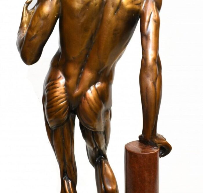 anatomical study flayed male bronze statue after houdon l corche casting 8