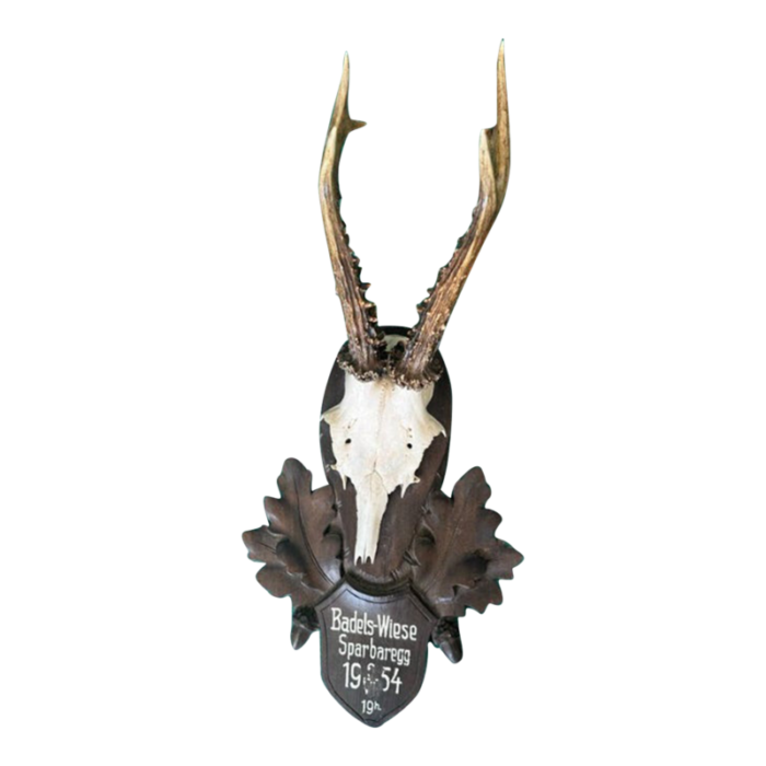 antique 19th century black forrest antler mount 8158