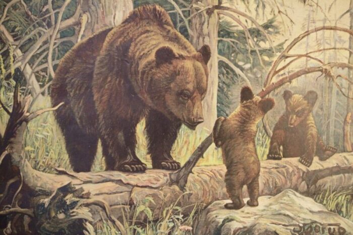 bear and cubs school poster 1920s 1