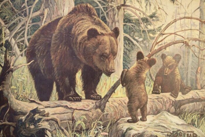 bear and cubs school poster 1920s 3