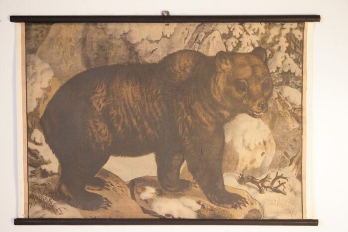 bear school poster 1900s 1