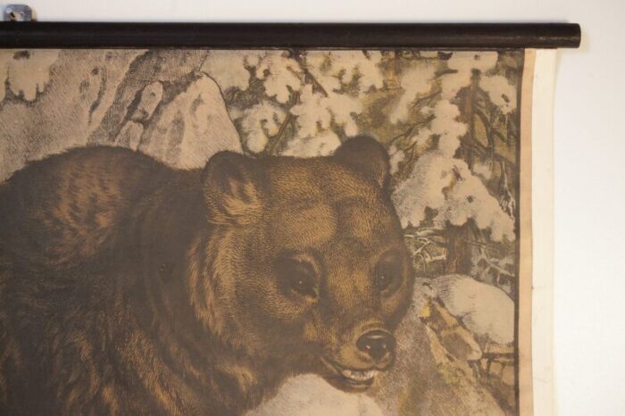 bear school poster 1900s 3