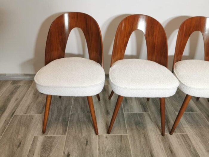 dining chairs by antonin suman 1960s set of 8 2390