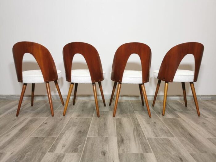 dining chairs by antonin suman 1960s set of 8 3008