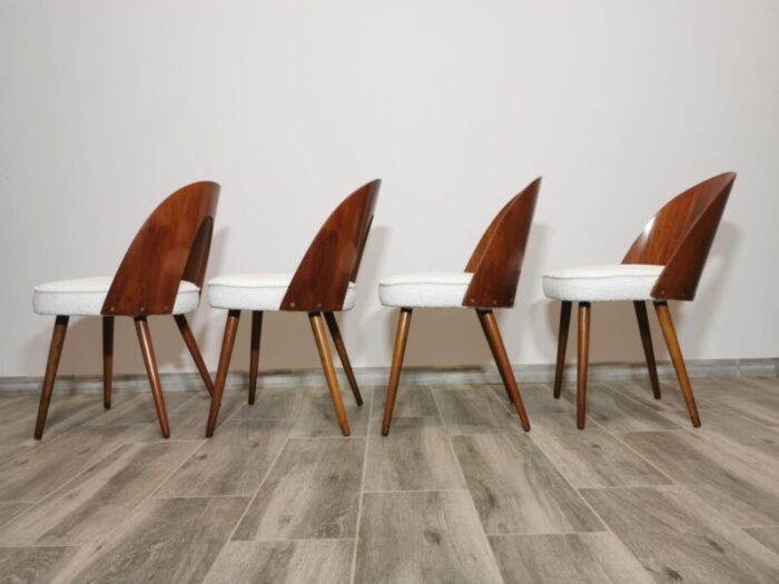 dining chairs by antonin suman 1960s set of 8 4189