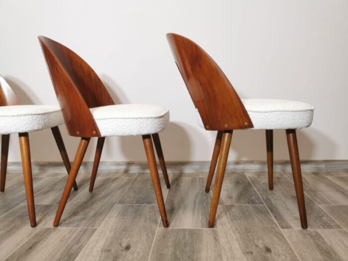 dining chairs by antonin suman 1960s set of 8 4579