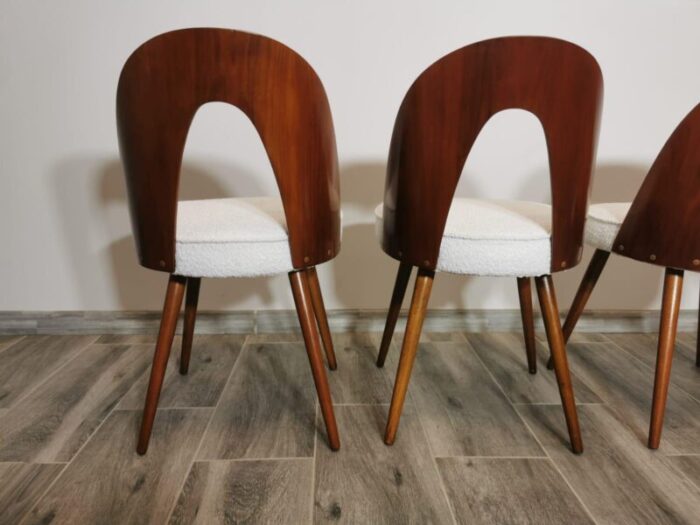 dining chairs by antonin suman 1960s set of 8 5677