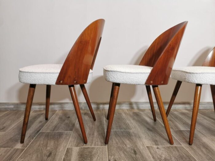 dining chairs by antonin suman 1960s set of 8 6491