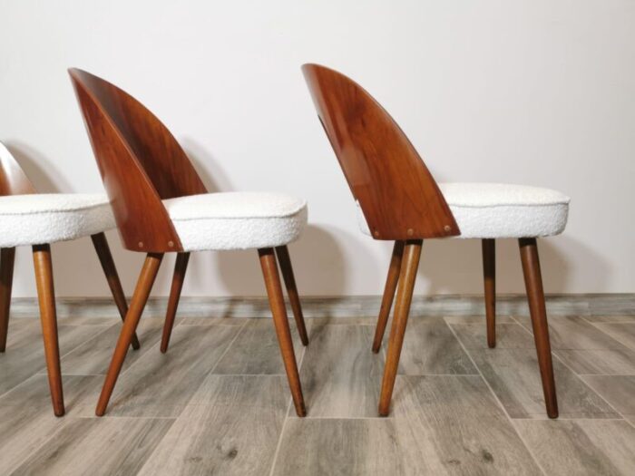 dining chairs by antonin suman 1960s set of 8 6825