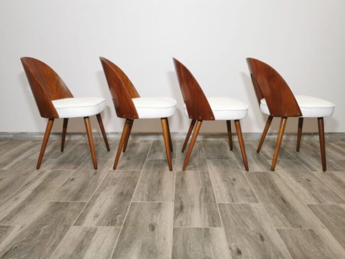 dining chairs by antonin suman 1960s set of 8 7367