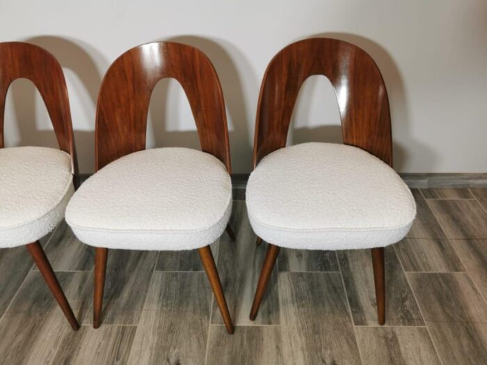 dining chairs by antonin suman 1960s set of 8 8883