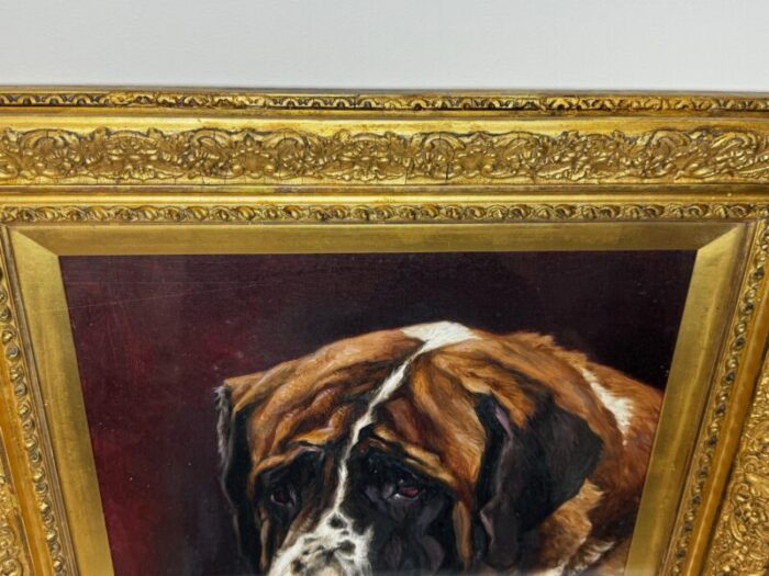 english oil painting pedigree prized saint bernard dog by frederick thomas daws dated 1905 framed 5964