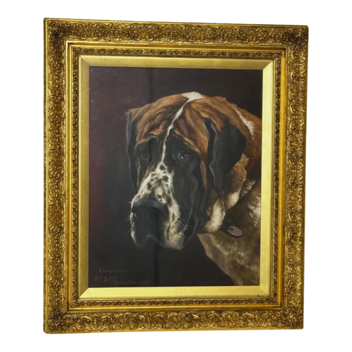 english oil painting pedigree prized saint bernard dog by frederick thomas daws dated 1905 framed 8441