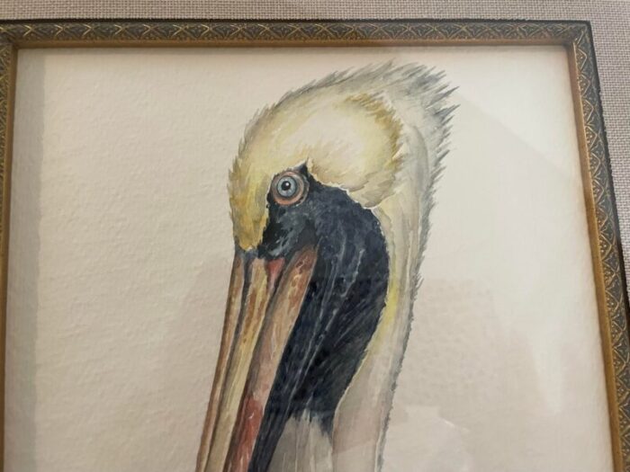 hand painted watercolor of a pelican head framed 3594