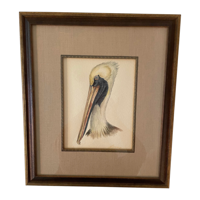 hand painted watercolor of a pelican head framed 6552