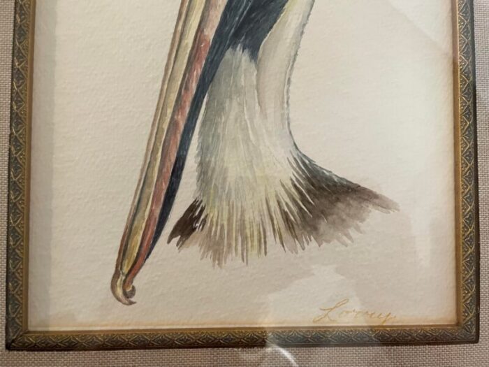 hand painted watercolor of a pelican head framed 9326