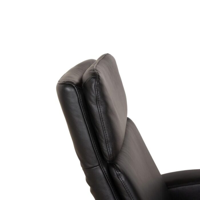 jupiter leather chair from willi schillig 6778