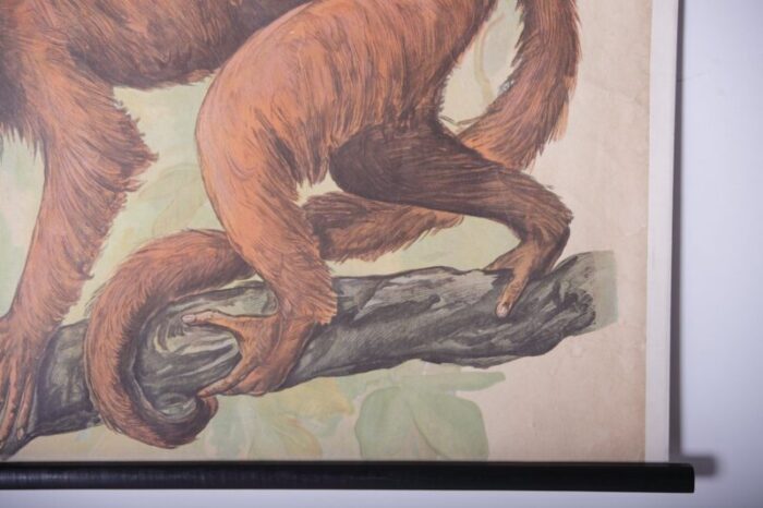 red hair monkey school poster 1910s 4