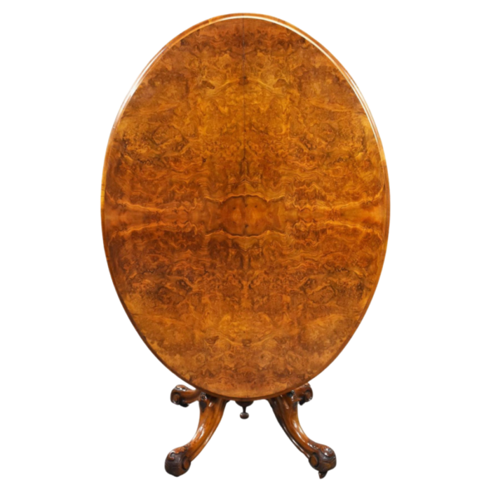 victorian burr walnut oval loo table 1860s 1196